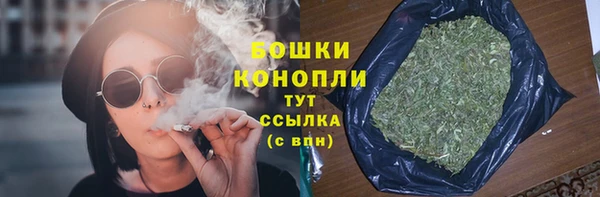 прущие грибы Володарск