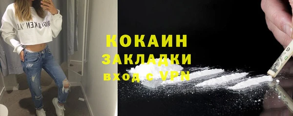прущие грибы Володарск