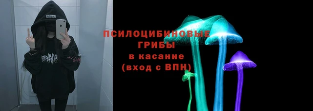 прущие грибы Володарск