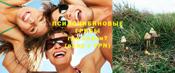 прущие грибы Володарск