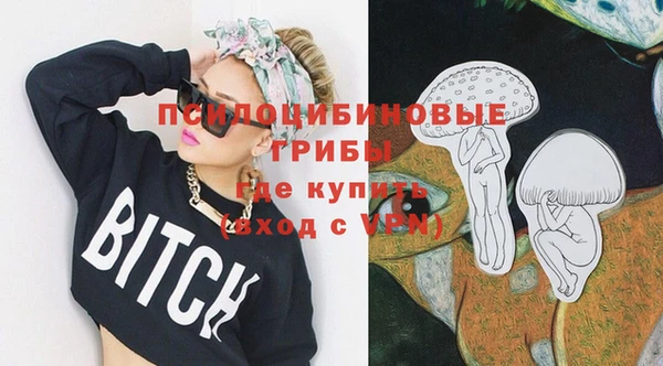прущие грибы Володарск