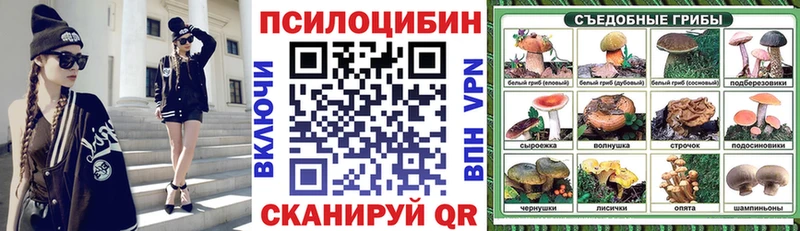 Псилоцибиновые грибы Psilocybe  Орехово-Зуево 